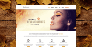 AIT – Solitudo WordPress Theme 3.0.8