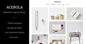 ACEROLA – ULTRA MINIMALIST AGENCY THEME 1.6.4