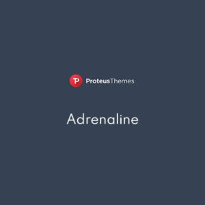 Adrenaline Sports Travel and Outdoor WordPress Theme 1.9.3