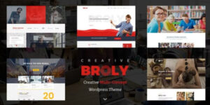 Broly – Creative Multi-Concept WordPress Theme 1.1.3