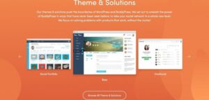 BuddyBoss Platform Pro 2.5.81