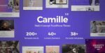Camille – Multi-Concept WordPress Theme 1.2.1