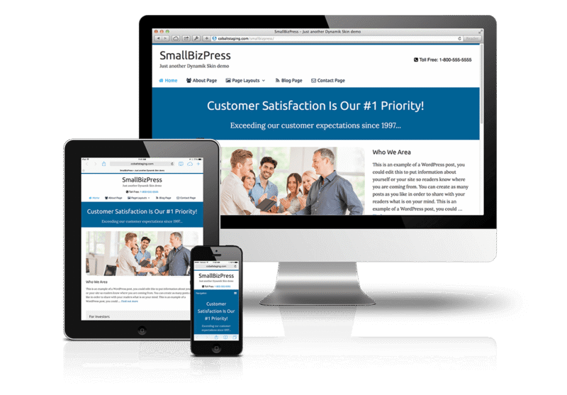 COBALTAPPS SMALLBIZPRESS SKIN FOR DYNAMIK WEBSITE BUILDER 1.0