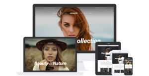 CSS Igniter Amaryllis WordPress Theme 1.2.5