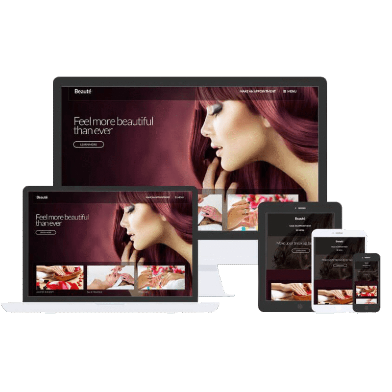 CSS IGNITER BEAUTE WORDPRESS THEME 2.0.3