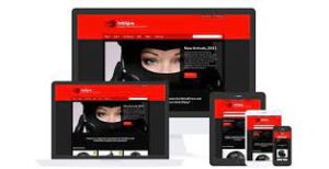 CSS IGNITER INTRIGUE WORDPRESS THEME 3.1
