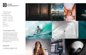 CSS IGNITER LENSE WORDPRESS THEME 1.2.3