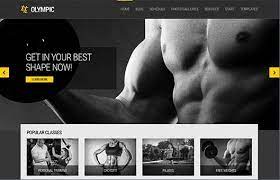 CSS IGNITER OLYMPIC WORDPRESS THEME 1.5