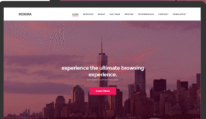 CSS IGNITER ROXIMA WORDPRESS THEME 1.9.2