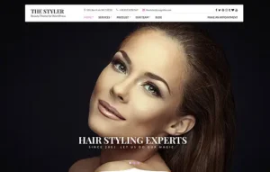 CSS IGNITER THE STYLER WORDPRESS THEME 1.4.3