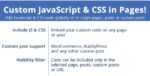 CUSTOM JAVASCRIPT & CSS IN PAGES 3.7