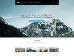 CYBERCHIMPS ALTITUDE WORDPRESS THEME 1.3