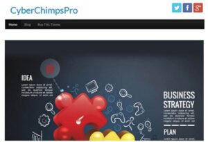 CYBERCHIMPS CYBERCHIMPS PRO WORDPRESS THEME 1.6