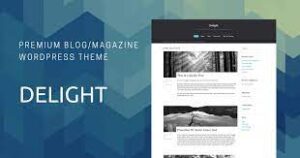 CYBERCHIMPS DELIGHT WORDPRESS THEME 1.0.0.4