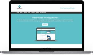 CYBERCHIMPS PRO FEATURES WORDPRESS PLUGIN 1.5
