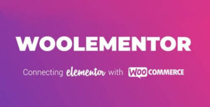 CoDesigner Pro (Formerly Woolementor Pro) – Premium Feature Unlocker For Woolementor  3.11