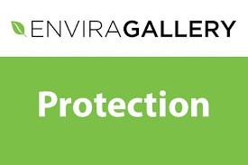 Envira Gallery Protection Addon 1.3.6