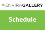 Envira Gallery Schedule Addon  1.2.6