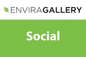 Envira Gallery Social Addon  1.6.9