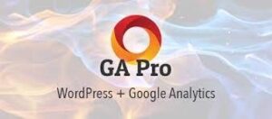 GA Google Analytics Pro 2.4.1