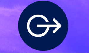 Gravity Forms GravityExport 1.3.3