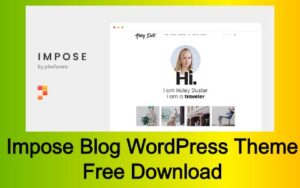 IMPOSE BLOG WORDPRESS THEME 1.1.8