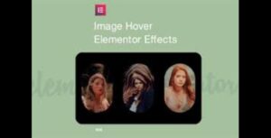 Image Hover Elements for Elementor 1.0.1