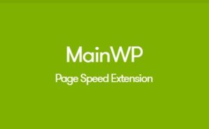 MainWP Page Speed Extension  4.0.3