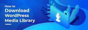 Media Cleaner Pro Cleans Media Library and Uploads Directory 6.6.9