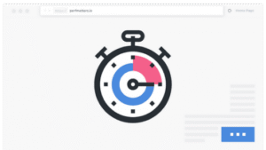 Perfmatters 2.2.7