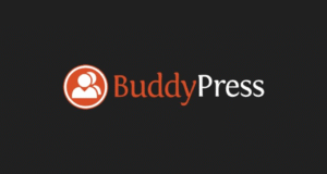 RESTRICT CONTENT PRO BBPRESS ADDON 1.0.2