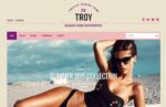 CSS Igniter Troy WordPress Theme 2.5