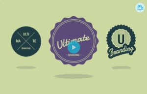 WPMU DEV ULTIMATE BRANDING 3.4.9.3