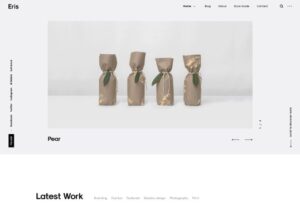 Themes Kingdom Eris WordPress Theme 1.1.3