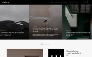 Themes Kingdom Reinform WordPress Theme 1.0.6