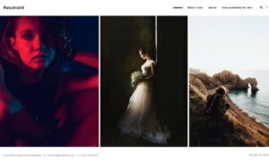 Themes Kingdom Resonant WordPress Theme 1.1.2