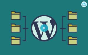 WPMU DEV Domain Mapping 4.4.3.3
