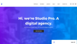 StudioPress Studio Pro Theme 2.3.0
