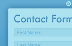 WPMU DEV Contact Widget 2.2.1