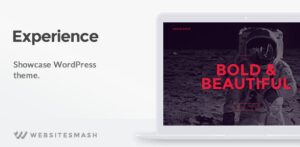 Experience – Showcase WordPress Theme 1.2