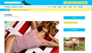 CSS Igniter Doberman WordPress Theme 1.4.2