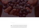 Elementorism Cabernet Landing Page 1.0