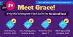 Instagram Feed Gallery – Grace for WordPress 1.2.7