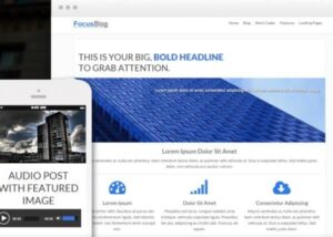 Thrive Themes Focusblog WordPress Theme 2.3.1
