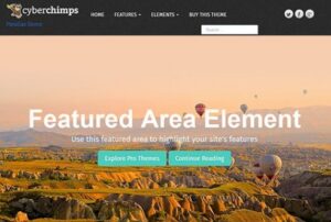 CyberChimps Parallax Pro WordPress Theme 1.3