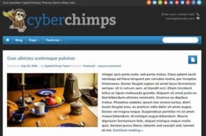 CyberChimps iFeature Pro 5 WordPress Theme 6.12