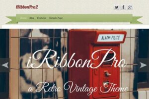 CyberChimps iRibbon Pro 2 WordPress Theme 3.5
