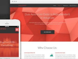 Thrive Themes Squared WordPress Theme 2.3.1