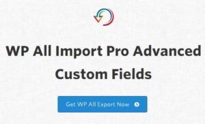 Soflyy WP All Import Pro Advanced Custom Fields Addon 3.3.8