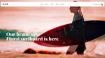 CSS Igniter Flevr WordPress Theme 2.3.5
